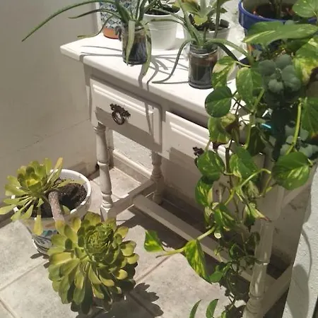 Pino's Apartman Costa Del Silencio