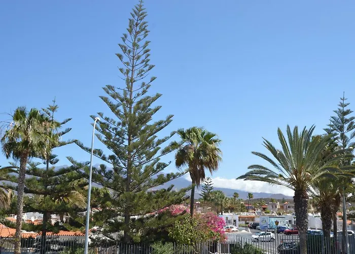 Pino's *